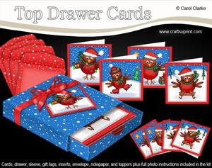 3D Top Drawer Xmas Robins Cards Bumper Kit