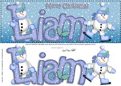Xmas Large Dl Liam Quick Card N 3D Decoupage
