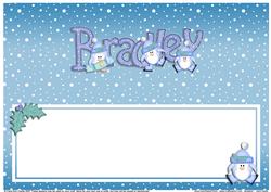Xmas Bradley Matching Large Dl Insert