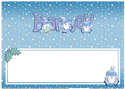 Xmas Harvey Matching Large Dl Insert