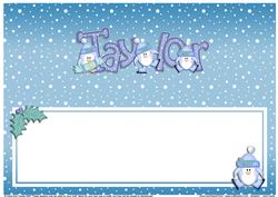 Xmas Taylor Matching Large Dl Insert
