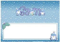 Xmas Sam Matching Large Dl Insert