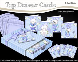3D Top Drawer Teddy Ed Notelet Cards Bumper Kit