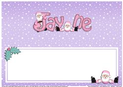 Xmas Jayne Matching Large Dl Insert