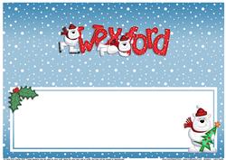 Xmas Wexford Matching Large Dl Insert