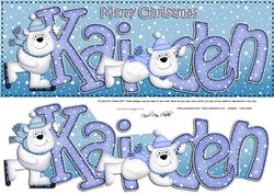Xmas Large Dl Kaiden Quick Card N 3D Decoupage