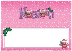 Xmas Megan Matching Large Dl Insert
