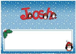 Xmas Josh Matching Large Dl Insert