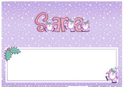 Xmas Sara Matching Large Dl Insert