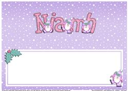 Xmas Niamh Matching Large Dl Insert