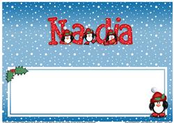 Xmas Nadia Matching Large Dl Insert