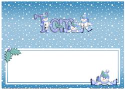 Xmas Tom Matching Large Dl Insert