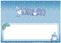 Xmas Owen Matching Large Dl Insert