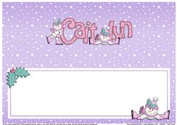 Xmas Caitlyn Matching Large Dl Insert