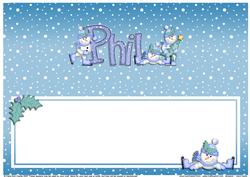 Xmas Phil Matching Large Dl Insert