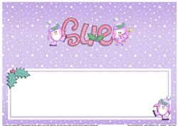 Xmas Sue Matching Large Dl Insert