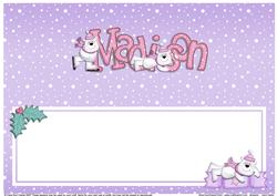 Xmas Madison Matching Large Dl Insert