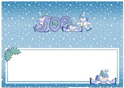 Xmas Joe Matching Large Dl Insert
