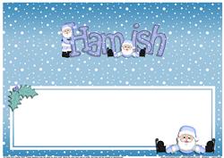 Xmas Hamish Matching Large Dl Insert