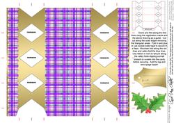 Tartan Cracker Shaped Treat or Favour Box