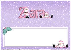 Xmas Zara Matching Large Dl Insert