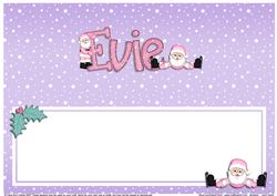 Xmas Evie Matching Large Dl Insert