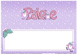 Xmas Paige Matching Large Dl Insert