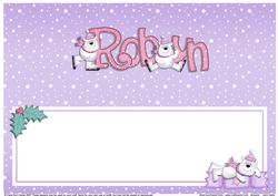 Xmas Robyn Matching Large Dl Insert