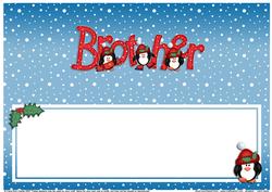 Xmas Brother with Penguins Matching Large Dl Insert