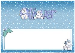 Xmas Oliver Matching Large Dl Insert