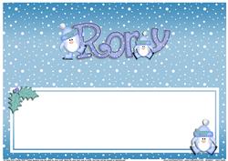 Xmas Rory Matching Large Dl Insert