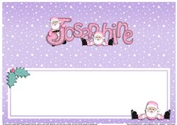 Xmas Josephine Matching Large Dl Insert