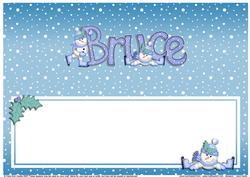 Xmas Bruce Matching Large Dl Insert