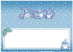 Xmas Jacob Matching Large Dl Insert