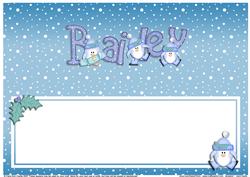 Xmas Bailey Matching Large Dl Insert