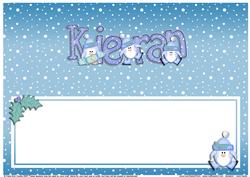 Xmas Kieran Matching Large Dl Insert