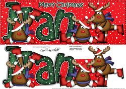 Xmas Large Dl Nan Quick Card N 3D Decoupage