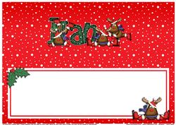 Xmas Nan Matching Large Dl Insert