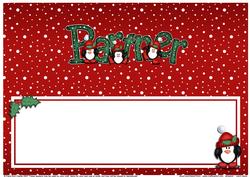 Xmas Partner Matching Large Dl Insert
