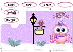 Xmas Little Hoot Owl Lottery Wallet Card