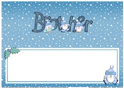 Xmas Brother Matching Large Dl Insert