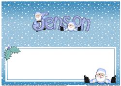 Xmas Jenson Matching Large Dl Insert