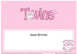 Birthday Large Dl Twin Girls Matching Large Dl Insert