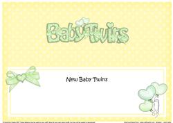 New Baby Twins Matching Large Dl Insert