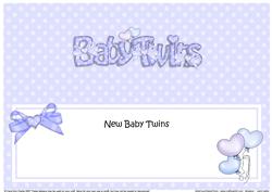 New Baby Twins Matching Large Dl Insert