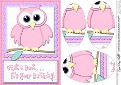 A5 What a Hoot Owl Birthday Oval Pyramage Topper