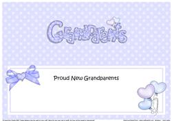 New Baby Grandparents Matching Large Dl Insert