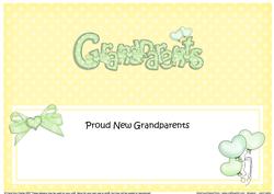 New Baby Grandparents Matching Large Dl Insert