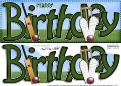 Birthday Cricket Large Dl Sports Quick Card N 3D Decoupage