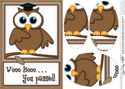 A5 Wise Owl You Passed Felties Oval Pyramage Topper